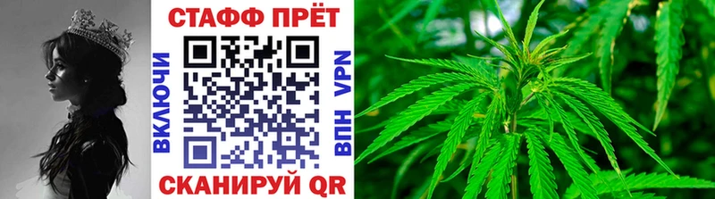 Виды наркотиков купить Пионерский Марихуана Меф COCAIN СК ГАШИШ