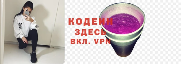 дживик Белокуриха