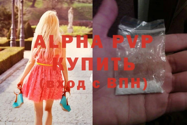 дживик Белокуриха