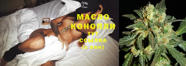 дживик Белокуриха