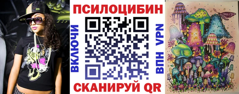 kraken вход  Пионерский  Галлюциногенные грибы Psilocybine cubensis 